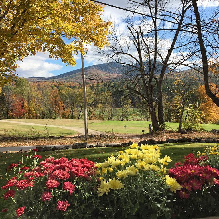 Carter Notch Inn Jackson Kültér fotó